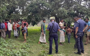 আম পাড়া নিয়ে বিএনপির দুই গ্রুপের গুলিবর্ষণ