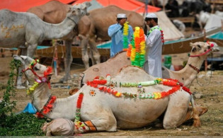 ঈদুল আজহার সম্ভাব্য তারিখ প্রকাশ