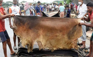 কোরবানির পশুর চামড়ার নতুন দাম নির্ধারণ