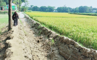 বিয়ে হচ্ছে না যে এলাকার মেয়েদের