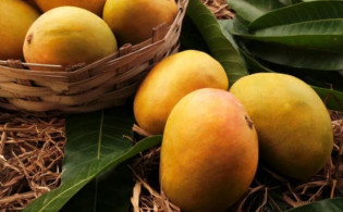৪ কারণে আম থেকে দূরে থাকুন
