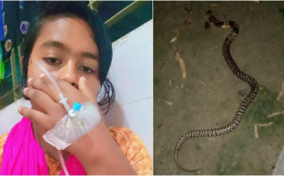 সাপের কামড়েও টিকটক করতে ভুললেন না তানিয়া