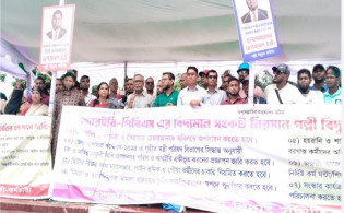 পল্লী বিদ্যুৎ সংকট সমাধানে সরকারের ভূমিকা স্বৈরাচারী: আনু মুহাম্মদ