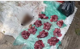 প্রকাশ্যে বিক্রি হচ্ছে শিয়ালের মাংস