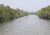এবার প্রবেশ বন্ধ সুন্দরবনে