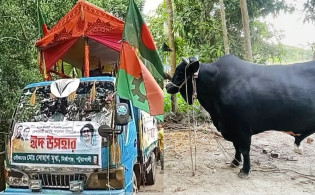 খালেদা জিয়ার জন্য ‘কালো মানিক’ নিয়ে ঢাকায় কৃষক