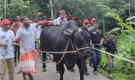 ঈদের দ্বিতীয় দিন যে সময় পর্যন্ত কোরবানি করা যায়