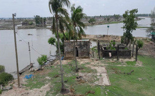 ইউনূসের মৎস্য ঘেরে ডাকাতি: ৫০ হাজার টাকার মাছ লুট