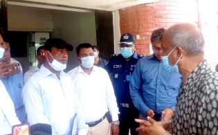 দুই প্রজাতীয় গাছ কেটে ফেলার কথা বললেন স্বরাষ্ট্র উপদেষ্টা