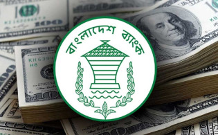 ডলার সংকট কাটিয়ে ঘুরে দাঁড়াল রিজার্ভ