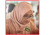 ফেসবুক স্ট্যাটাসে চাকরি হারালেন সহকারী কমিশনার