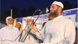 সরকার নতুন ষড়যন্ত্রের ফাঁদে পা দিয়েছে: মামুনুল হক