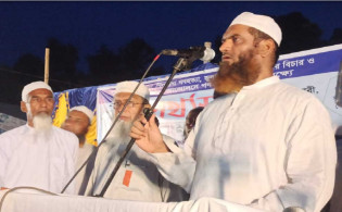 সরকার নতুন ষড়যন্ত্রের ফাঁদে পা দিয়েছে: মামুনুল হক
