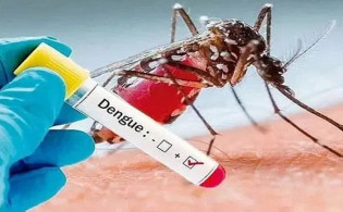 ডেঙ্গু থেকে বাঁচতে মেনে চলবেন যেসব নিয়ম
