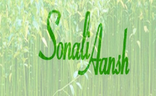 সোনালী আঁশের আর্থিক হিসাবে নানা অসঙ্গতি