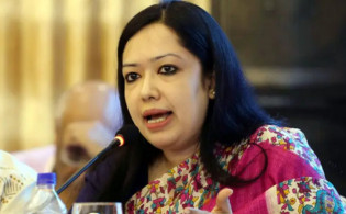 ব্যক্তিগত আক্রমণে পিছু হটলেন রুমিন ফারহানা