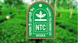 ন্যাশনাল টি’র রাইট ইস্যু নিয়ে নতুন বিতর্ক