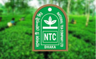 প্লেসমেন্ট শেয়ার কেনার সুযোগ হারালেন ন্যাশনাল টি’র চেয়ারম্যান