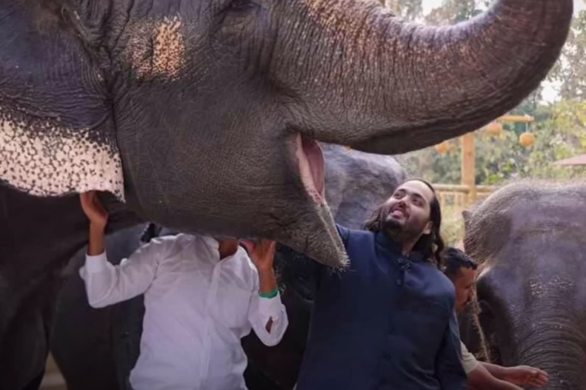 চিড়িয়াখানার আড়ালে আম্বানিপুত্রের ভয়ংকর ব্যবসা