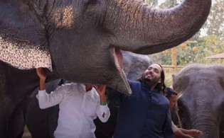 চিড়িয়াখানার আড়ালে আম্বানিপুত্রের ভয়ংকর ব্যবসা