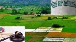 যে ১১ ধরনের বেদখল জমি প্রকৃত মালিকরা পাবে