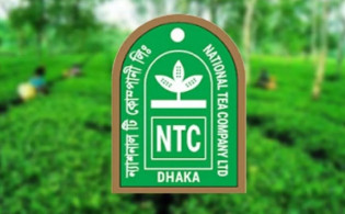 নতুন শেয়ার ইস্যুর টাকা ফেরত পাচ্ছে না ন্যাশনাল টি কোম্পানি