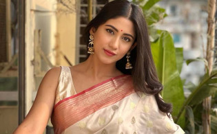৮ মাস চুপ থাকার পর অবশেষে সব বললেন সাফা কবির