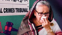 হাসিনার ফ্যাসিস্ট হয়ে উঠার সহযোগী ছিলেন যারা