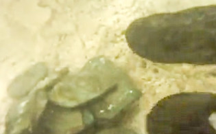‘সোনার বৃষ্টি’, উদ্ধার ১২ কোটি টাকার গুপ্তধন