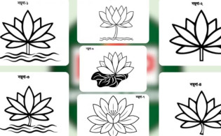 ‘শাপলা’র ৭ ধরনের নমুনা পাঠালো এনসিপি
