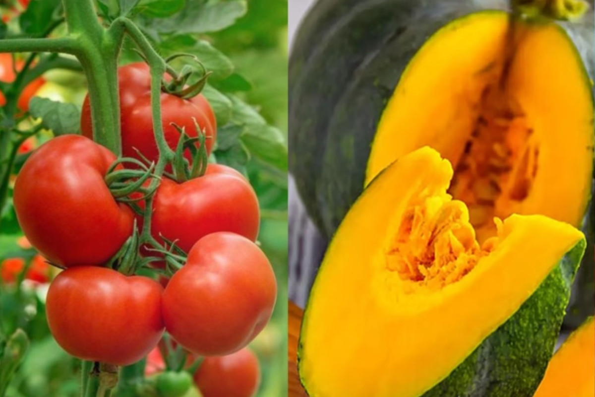 যেসব খাবার পুরুষের শুক্রাণু বাড়ায়