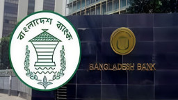 দেশে বিদেশি বিনিয়োগ বেড়েছে ১১ শতাংশ