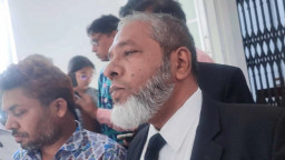 শেখ হাসিনা খালাস পাবেন: আইনজীবী
