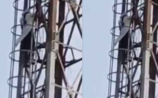 ঘর পরিষ্কার করতে বলায় কিশোরীর অবাক করা কাণ্ড