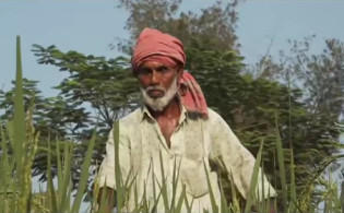 রাস্তায় ধান চাষ; অবশেষে টনক নড়ল প্রশাসনের