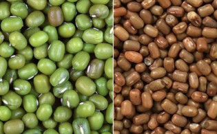 মুগ ডাল নিয়ে বিএফএসএ’র সতর্কবার্তা