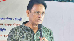 বিদেশে যেতে না পারার অভিজ্ঞতা শোনালেন সাবেক শিক্ষা প্রতিমন্ত্রী