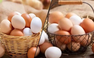 ডিম রান্নার আগে ধুয়ে না নিলেই বিপদ
