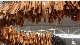 চামড়া খাতে বিনিয়োগকারীদের হতাশ করেছে দুই কোম্পানি