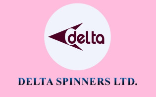 ডেল্টা স্পিনার্সের প্রথম প্রান্তিক প্রকাশ