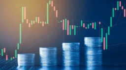 চাপ কমে ফিরছে স্বস্তি, দুই বাজারেই প্রাণচাঞ্চল্য