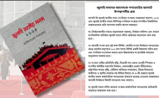 গণভোটের ব্যালটে ৪ চমকপ্রদ খসড়ায় যা জানা গেল