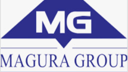 ম্যাগুরা গ্রুপের দুই কোম্পানির মুনাফায় দুই রকম চিত্র