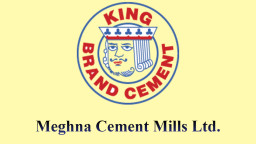 টিকে থাকা নিয়ে শঙ্কা মেঘনা সিমেন্টের