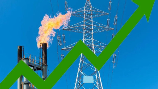 মুনাফায় চমক দেখালো জ্বালানি খাতের ১৩ কোম্পানি
