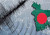 দেশে আপাতত বড় ভূমিকম্পের ঝুঁকি নেই