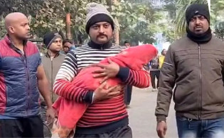 ৩ মাসের নাতিকে পুকুরে ছুড়ে ফেললেন দাদি!