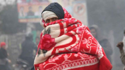 যে ভিটামিনের অভাবে শীত বেশি লাগে