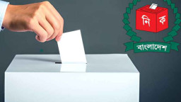 উপদেষ্টা পরিষদে গণভোট অধ্যাদেশ পাস