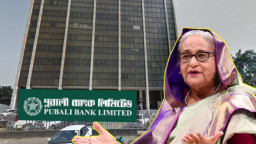 শেখ হাসিনার লকারে মিলল যা, দেখে হতবাক তদন্তকারীরা